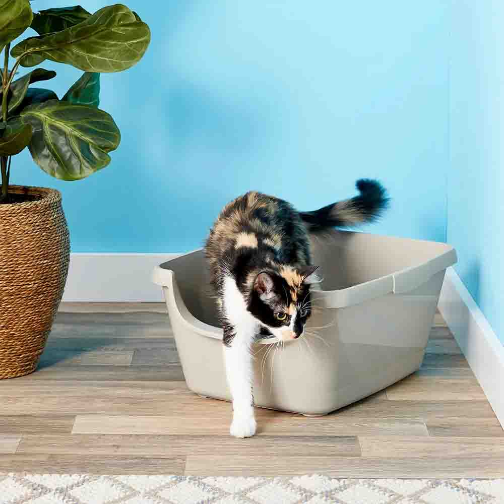 Litter Boxes-Trays